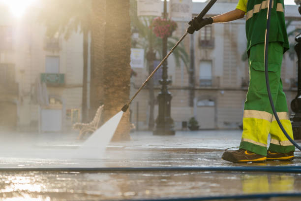 Best Driveway Pressure Washing  in Frisco City, AL